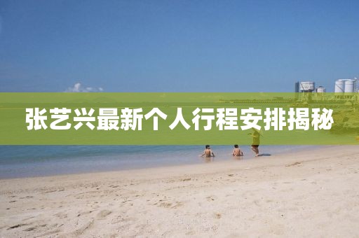 西瓜小姐 第19页