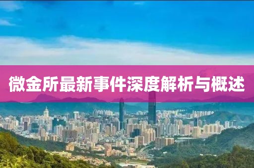 微金所最新事件深度解析与概述