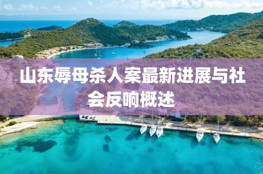 山东辱母杀人案最新进展与社会反响概述