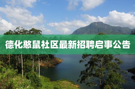 德化憨鼠社区最新招聘启事公告