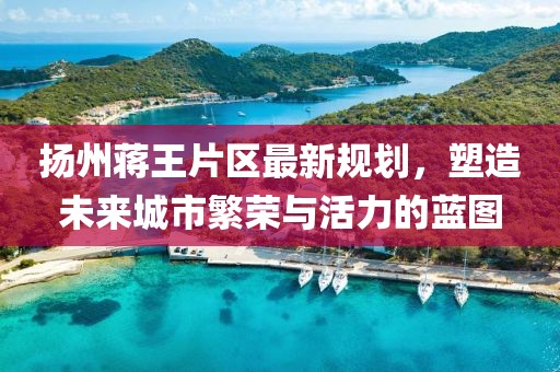 扬州蒋王片区最新规划，塑造未来城市繁荣与活力的蓝图