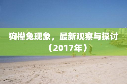 狗撵兔现象，最新观察与探讨（2017年）