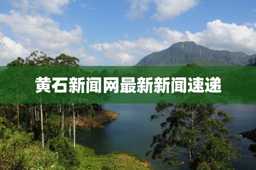 黄石新闻网最新新闻速递