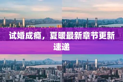 试婚成瘾，夏暖最新章节更新速递