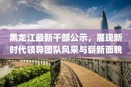 黑龙江最新干部公示，展现新时代领导团队风采与崭新面貌