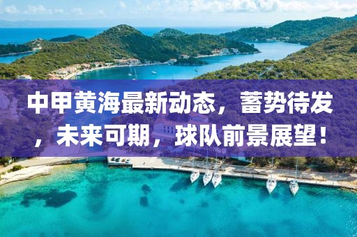 中甲黄海最新动态，蓄势待发，未来可期，球队前景展望！