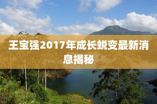王宝强2017年成长蜕变最新消息揭秘