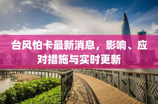 台风怕卡最新消息，影响、应对措施与实时更新