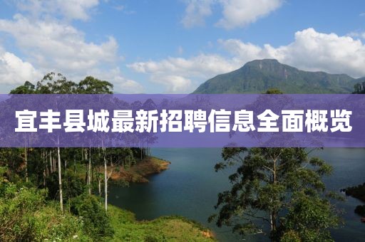 宜丰县城最新招聘信息全面概览