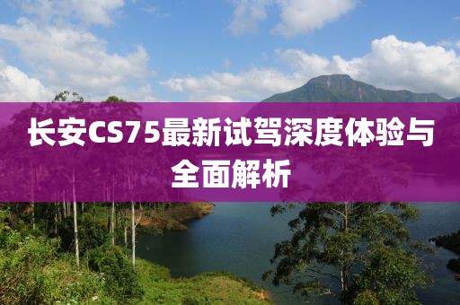 2024年11月 第17页