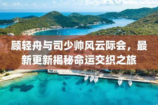 顾轻舟与司少帅风云际会，最新更新揭秘命运交织之旅