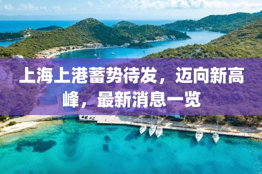上海上港蓄势待发，迈向新高峰，最新消息一览