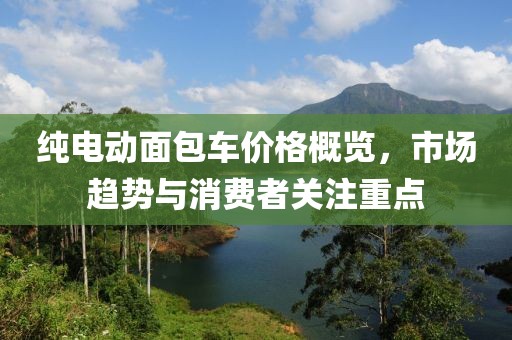 纯电动面包车价格概览，市场趋势与消费者关注重点