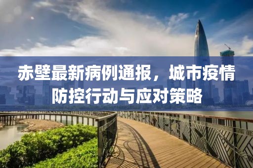 赤壁最新病例通报，城市疫情防控行动与应对策略