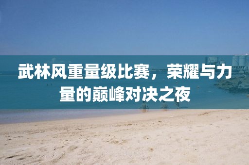 武林风重量级比赛，荣耀与力量的巅峰对决之夜