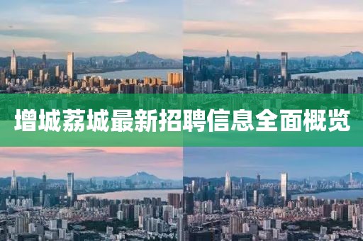 关于我们 第411页