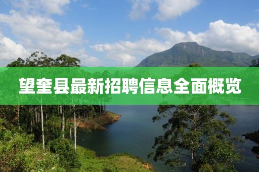 雨薇之恋 第15页