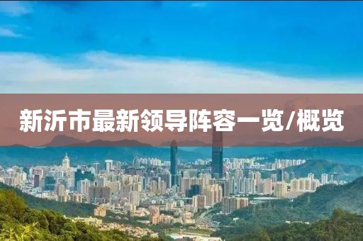 新沂市最新领导阵容一览/概览
