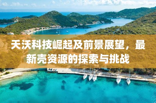 天沃科技崛起及前景展望，最新壳资源的探索与挑战