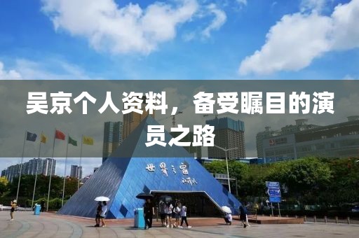 吴京个人资料，备受瞩目的演员之路