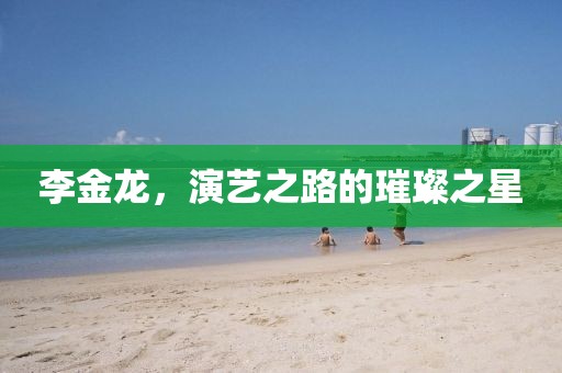 李金龙，演艺之路的璀璨之星
