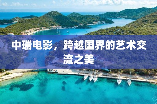 中瑞电影，跨越国界的艺术交流之美