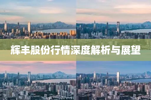 辉丰股份行情深度解析与展望