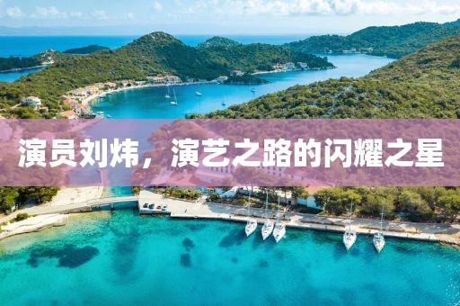 演员刘炜，演艺之路的闪耀之星