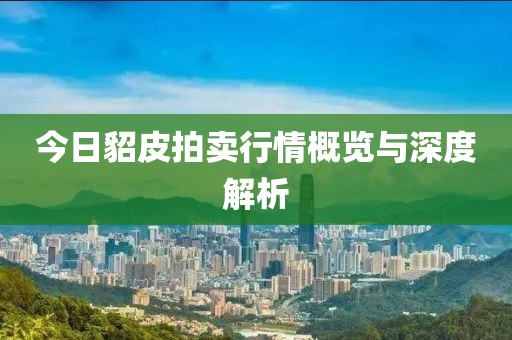 今日貂皮拍卖行情概览与深度解析