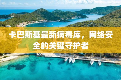 卡巴斯基最新病毒库，网络安全的关键守护者