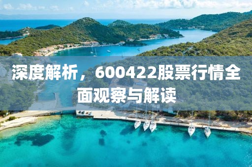 深度解析，600422股票行情全面观察与解读