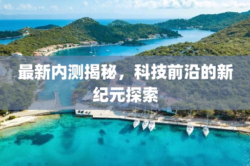 最新内测揭秘，科技前沿的新纪元探索