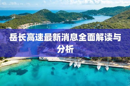 岳长高速最新消息全面解读与分析