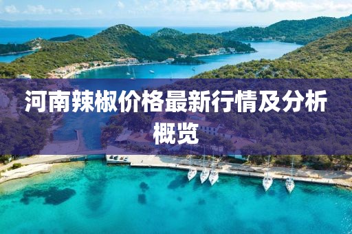 河南辣椒价格最新行情及分析概览