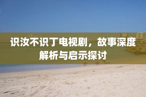 识汝不识丁电视剧，故事深度解析与启示探讨