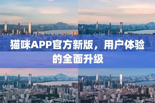 猫咪APP官方新版，用户体验的全面升级