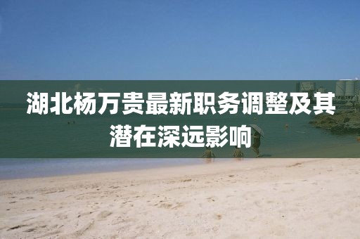 湖北杨万贵最新职务调整及其潜在深远影响