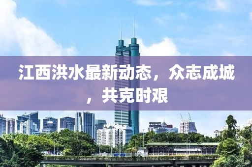 江西洪水最新动态，众志成城，共克时艰