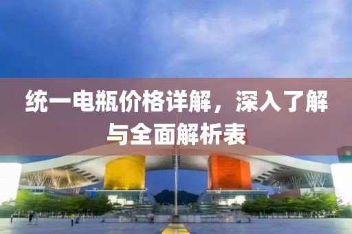 统一电瓶价格详解，深入了解与全面解析表