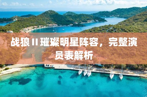 战狼Ⅱ璀璨明星阵容，完整演员表解析