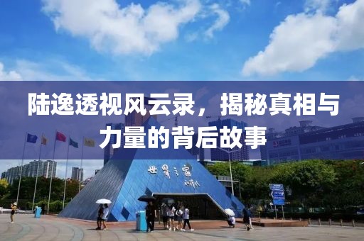 陆逸透视风云录，揭秘真相与力量的背后故事