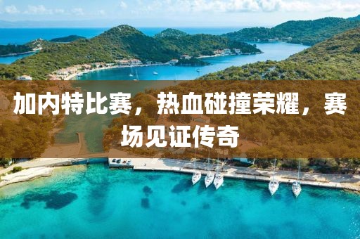 加内特比赛，热血碰撞荣耀，赛场见证传奇