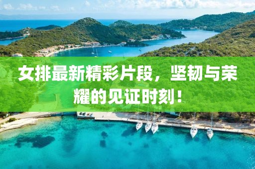 女排最新精彩片段，坚韧与荣耀的见证时刻！