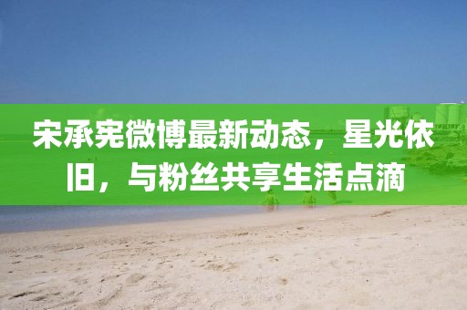 宋承宪微博最新动态，星光依旧，与粉丝共享生活点滴