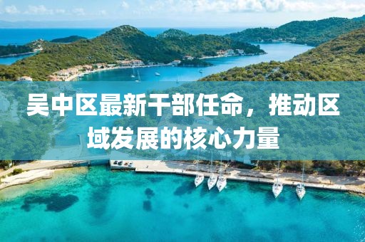 吴中区最新干部任命，推动区域发展的核心力量