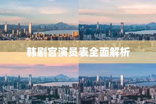 韩剧宫演员表全面解析