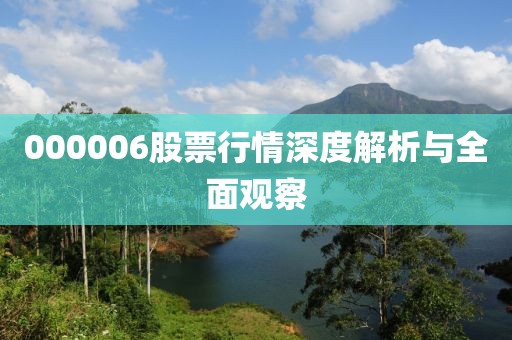 000006股票行情深度解析与全面观察