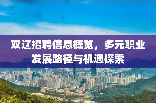 双辽招聘信息概览，多元职业发展路径与机遇探索