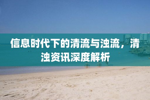 信息时代下的清流与浊流，清浊资讯深度解析