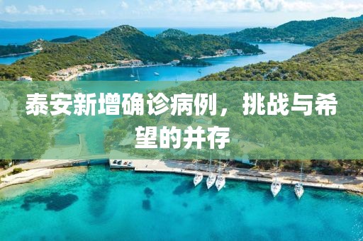 泰安新增确诊病例，挑战与希望的并存